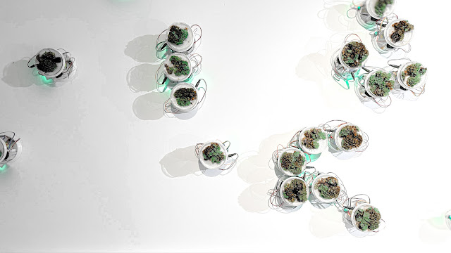 《意識行動》— 去中心的光感社群裝置